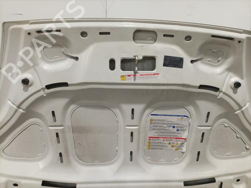 Hood FIAT PUNTO EVO (199_) 1.2 | BP28415732C1