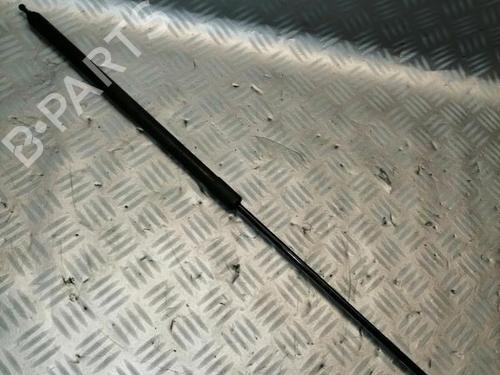 Pansergassdemper RENAULT MEGANE III Hatchback (BZ0/1_, B3_) 1.5 dCi (106 hp) 22591247