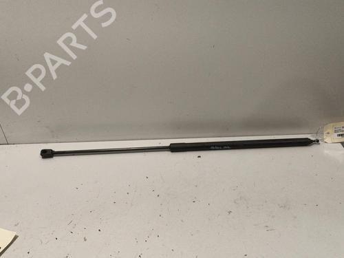 Hood lift support RENAULT MEGANE III Hatchback (BZ0/1_, B3_) 1.5 dCi (BZ09, BZ0D, BZ1W, BZ29, BZ14) | BP22572673C139 