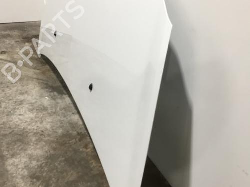 Hood RENAULT CLIO III (BR0/1, CR0/1) 1.5 dCi (C/BR0G, C/BR1G) | BP22573018C1 