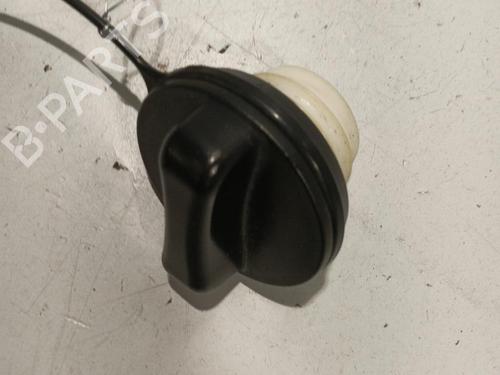 Used Fuel cap NISSAN QASHQAI / QASHQAI +2 I (J10, NJ10, JJ10E) 1.5 dCi (110 hp) 22587781