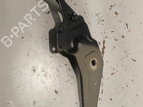 Hinge/Door check strap BMW X6 (E71, E72) xDrive 35 d | BP22574802C146 