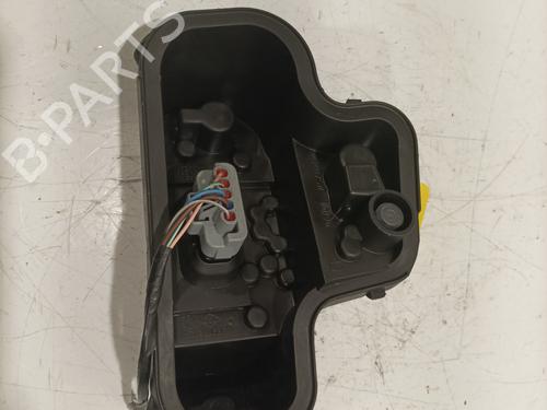 Used Lamp holder RENAULT MEGANE III Coupe (DZ0/1_) 2.0 dCi (163 hp) 29941223