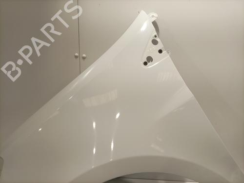 Used Left front fenders Left front fenders RENAULT CLIO III (BR0/1, CR0/1) 1.5 dCi (C/BR0G, C/BR1G) (68 hp) 25330617 25330617