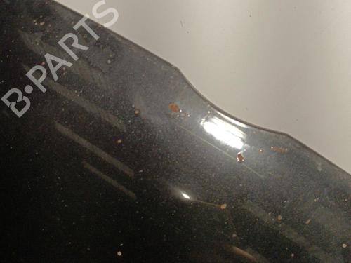 Capot Capot VW GOLF PLUS V (5M1, 521) 1.9 TDI (105 hp) 22572178 22572178