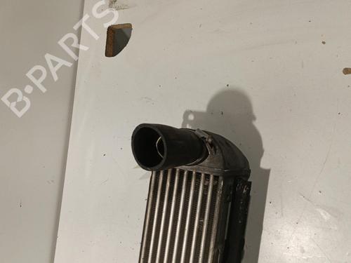 Intercooler LAND ROVER RANGE ROVER SPORT I (L320) 2.7 D 4x4 | BP22585995M30 