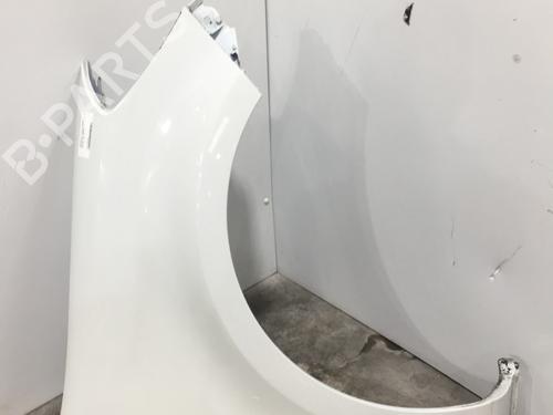 Used Right front fenders RENAULT CLIO III (BR0/1, CR0/1) 1.5 dCi (C/BR0G, C/BR1G) (68 hp) 24180238