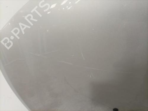 Hood RENAULT CLIO III (BR0/1, CR0/1) 2.0 16V Sport | BP22574354C1 