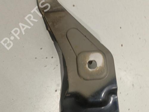 Hinge/Door check strap BMW X6 (E71, E72) xDrive 35 d | BP22570371C146 