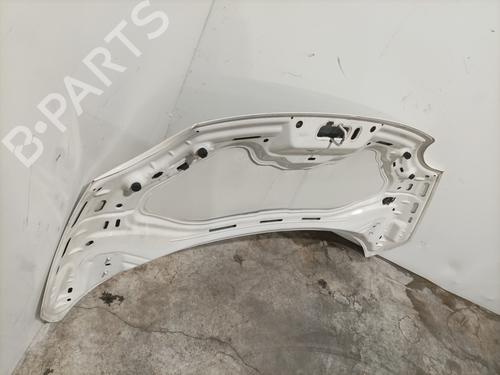Hood FIAT 500 (312_) 1.3 D Multijet (312AXB1A) | BP28415717C1