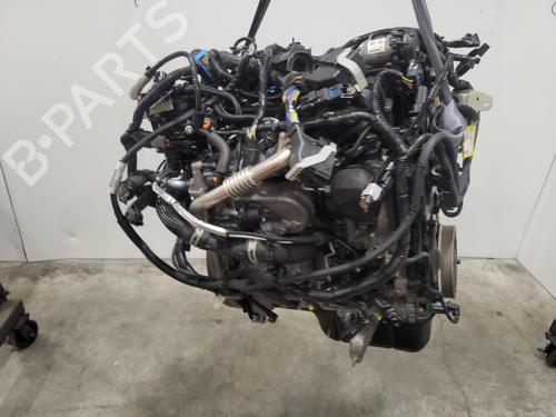 Engine FORD C-MAX II (DXA/CB7, DXA/CEU) 1.5 TDCi | BP37500105M1 - Image 9