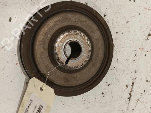 Used Pulley RENAULT CLIO III (BR0/1, CR0/1) 1.5 dCi (75 hp) 22588000