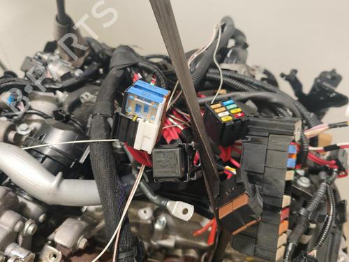 Engine RENAULT KANGOO Express (FW0/1_) 1.5 dCi 95 (FW16) | BP38424512M1 - Image 13