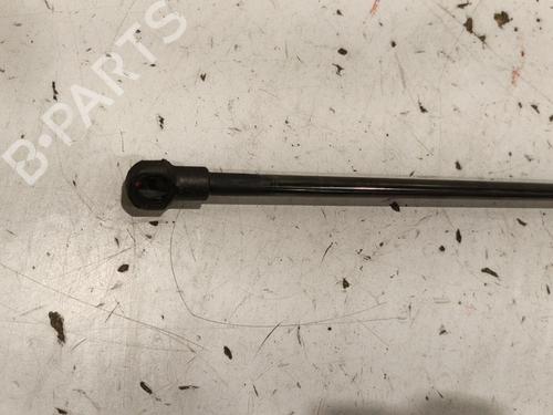 Hood lift support AUDI A3 (8L1) 1.9 TDI | BP22571961C139 