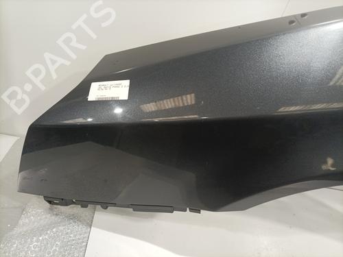 Left front fenders RENAULT VEL SATIS (BJ0_) 2.0 dCi (BJ03, BJ0B) | BP25469475C41 