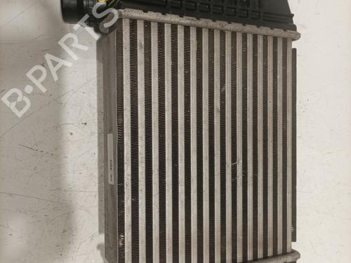 Intercooler DACIA JOGGER (RK_) 1.0 TCe 110 (RKMD) | BP29484526M30 