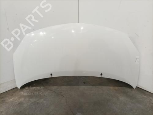Used Hood RENAULT TWINGO II (CN0_) 1.5 dCi 75 (75 hp) 29822326