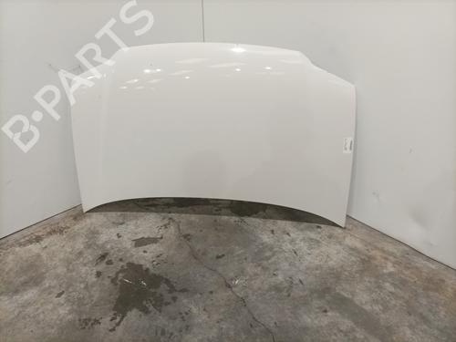 Panser VW CADDY III Box Body/MPV (2KA, 2KH, 2CA, 2CH) 1.9 TDI (105 hp) 24115617