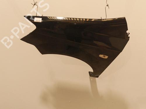 Left front fenders HYUNDAI GETZ (TB) 1.5 CRDi | BP22588503C41 