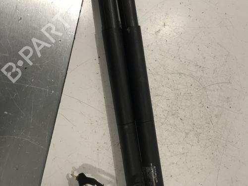 Tailgate lift support BMW 2 Gran Tourer (F46) 218 d | BP28429171C138 