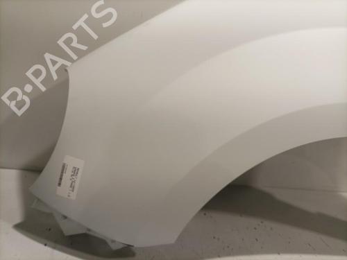 Left front fenders RENAULT KANGOO Express (FW0/1_) 1.5 dCi 70 (FW0A, KW0V) | BP22579676C41 