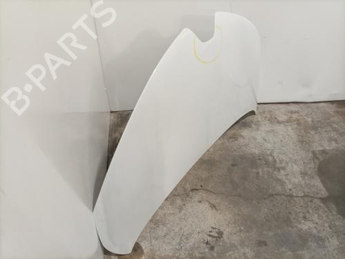 Hood RENAULT ZOE (BFM_) ZOE | BP32449031C1 