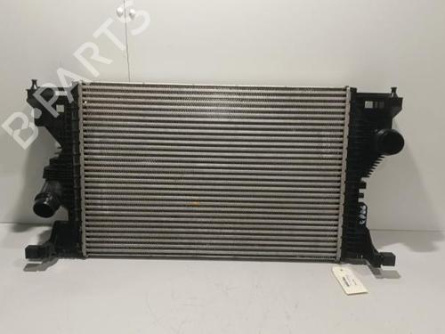 Used Intercooler Intercooler MERCEDES-BENZ A-CLASS (W177) A 200 (177.087) (163 hp) 22585805 22585805
