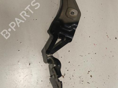 Hinge/Door check strap BMW X6 (E71, E72) xDrive 35 d | BP22570371C146 