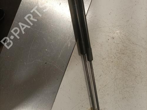Used Tailgate lift support AUDI A3 Sportback (8VA, 8VF) S3 quattro (300 hp) 28442050