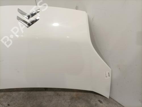Used Hood Hood CITROËN NEMO Box Body/MPV (AA_) 1.3 HDi 75 (75 hp) 25478169 25478169
