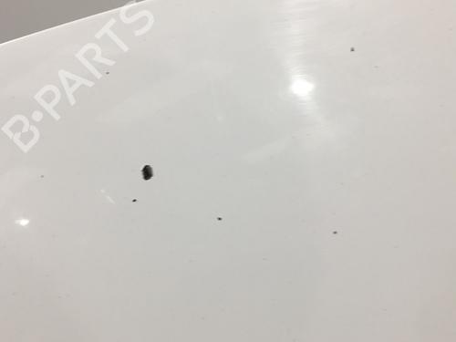 Hood RENAULT CLIO III (BR0/1, CR0/1) 1.5 dCi (C/BR0G, C/BR1G) | BP25158323C1 