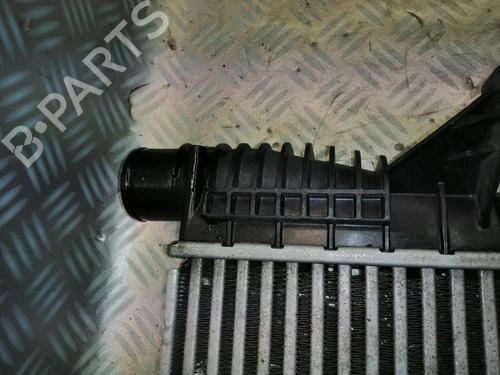 Used Intercooler RENAULT CLIO III (BR0/1, CR0/1) 1.5 dCi (BR0H, CR0H, CR1S, BR1S) (106 hp) 22589978