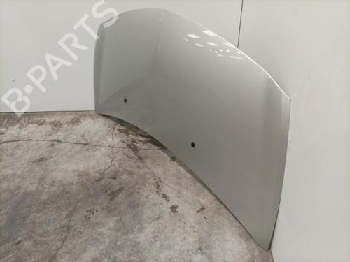 Used Hood RENAULT CLIO III (BR0/1, CR0/1) 2.0 16V Sport (200 hp) 22574354