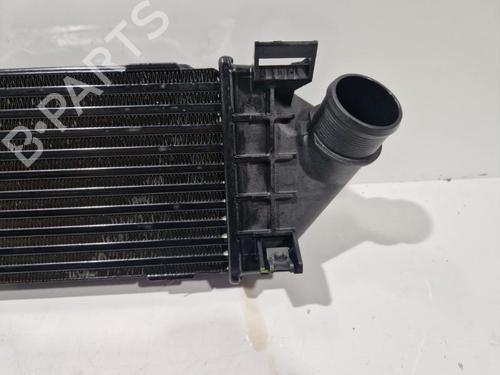 Intercooler FORD MONDEO IV Turnier (BA7) 2.0 TDCi | BP22569685M30 