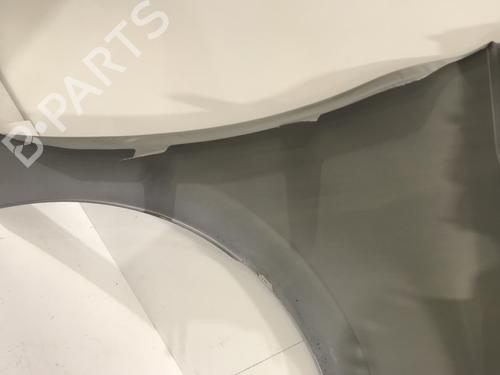 Left front fenders PEUGEOT 208 I (CA_, CC_) 1.2 VTI 82 | BP29999992C41