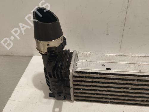 Intercooler Intercooler RENAULT SCÉNIC III (JZ0/1_) 1.9 dCi (JZ0J, JZ1J, JZ1K, JZ1S) (131 hp) 36836767 36836767