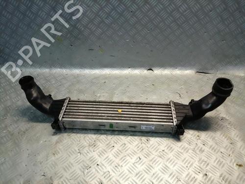 Intercooler MERCEDES-BENZ C-CLASS (W202) C 200 CDI (202.134) | BP22577895M30 