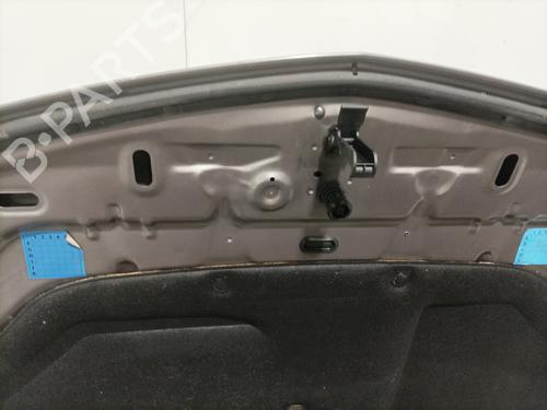 Hood RENAULT VEL SATIS (BJ0_) 2.2 dCi (BJ0E, BJ0F) | BP28415728C1 