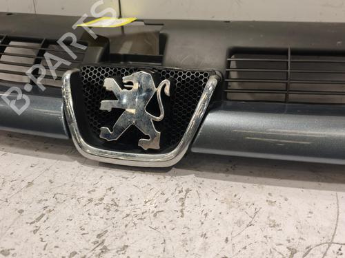 Used Grille Grille 39254903 39254903