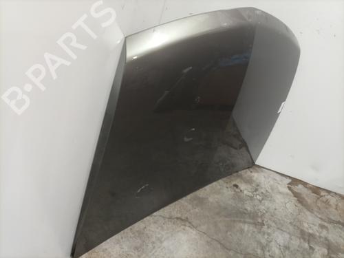 Hood RENAULT VEL SATIS (BJ0_) 2.2 dCi (BJ0E, BJ0F) | BP28415728C1 