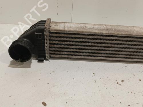 Intercooler MERCEDES-BENZ A-CLASS (W169) A 180 CDI (169.007, 169.307) | BP22581848M30 