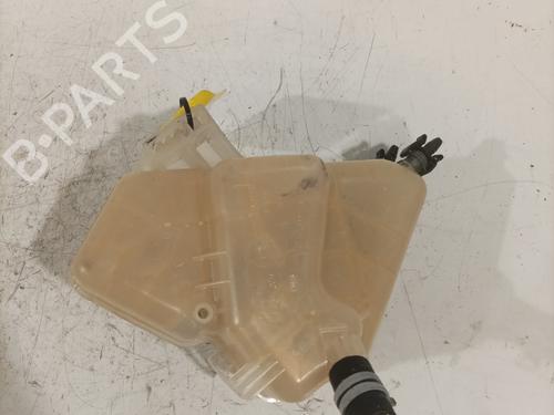Expansion tank FORD FIESTA VI (CB1, CCN) 1.4 TDCi | BP29209537C120 