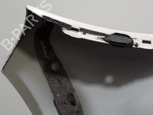 Left front fenders NISSAN QASHQAI / QASHQAI +2 I (J10, NJ10, JJ10E) 2.0 dCi | BP22574272C41 