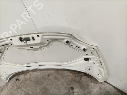 Hood FIAT 500 (312_) 1.3 D Multijet (312AXB1A) | BP28415717C1