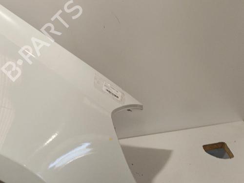 Right front fenders RENAULT CLIO III (BR0/1, CR0/1) 1.5 dCi | BP22587845C42 