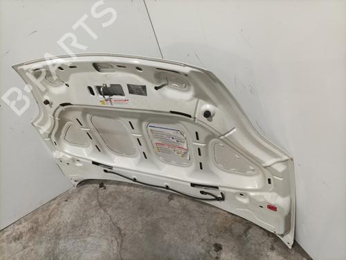 Hood FIAT PUNTO EVO (199_) 1.2 | BP28415732C1