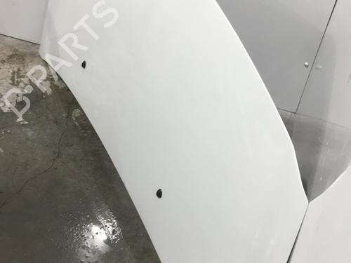 Hood RENAULT CLIO III (BR0/1, CR0/1) 1.5 dCi (C/BR0G, C/BR1G) | BP24180237C1