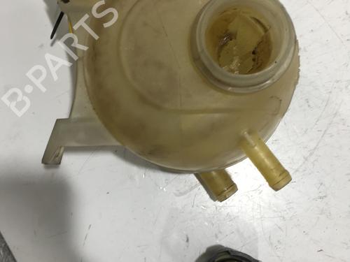 Expansion tank RENAULT MEGANE I Coach (DA0/1_) 1.9 dCi (DA05, DA1F) | BP22573225C120