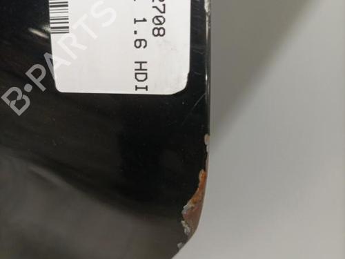 Left front door PEUGEOT 208 I (CA_, CC_) 1.6 HDi | BP22585356C2 