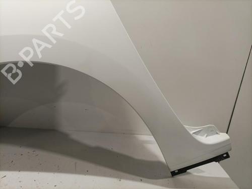 Left front fenders RENAULT KANGOO Express (FW0/1_) 1.5 dCi 70 (FW0A, KW0V) | BP22579676C41 
